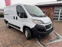 Gebraucht Fiat Ducato 116 PS (85 kW) 2019 Weiß Van