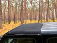 Gebraucht Jeep Wrangler Rubicon 272 PS (200 kW) 2021 Schwarz SUV