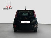 Gebraucht Fiat Panda 69 PS (50 kW) 2023 Schwarz Kleinwagen