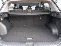 Neu Kia Sportage 252 PS (185 kW) 2025 Carraraweiß SUV