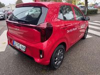 Gebraucht Kia Picanto Vision 63 PS (46 kW) 2025 Signal rot metallic Kleinwagen