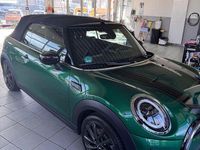 Gebraucht Mini Cooper 136 PS (100 kW) 2023 Grün Kleinwagen