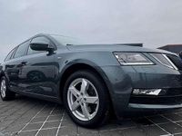 Gebraucht Skoda Octavia Clever 179 PS (131 kW) 2017 Grau Kombi