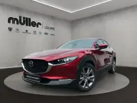 Gebraucht Mazda CX-30 Selection 122 PS (89 kW) 2019 Soul red crystal SUV