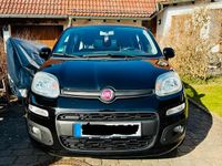 Gebraucht Fiat Panda Lounge 69 PS (50 kW) 2016 Schwarz Kleinwagen