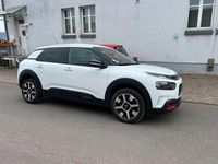 Gebraucht Citroën C4 Shine 110 PS (80 kW) 2020 Weiß SUV