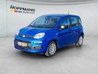 Gebraucht Fiat Panda 65 PS (47 kW) 2025 Blau Kleinwagen