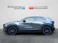 Gebraucht Mazda CX-30 Homura-Line 186 PS (136 kW) 2024 Grau SUV