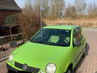 Gebraucht VW Lupo 52 PS (38 kW) 1999 Grün Kleinwagen