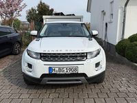 Gebraucht Land Rover Range Rover evoque 190 PS (139 kW) 2013 Weiß SUV