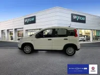 Neu Fiat Panda 69 PS (50 kW) 2025 Weiß Kleinwagen