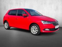 gebraucht Skoda Fabia 1.0 TSI DRIVE 125 JAHRE Pano Navi Ahk