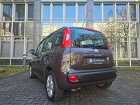 Occasion Fiat Panda 69 ch (50 kW) 2012 Marron Citadine
