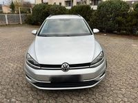 gebraucht VW Golf VII 1.6 TDI DSG