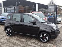 Gebraucht Fiat Panda 69 PS (50 kW) 2023 Schwarz Kleinwagen