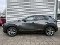 Gebraucht Mazda CX-30 Homura-Line 150 PS (110 kW) 2024 Grau SUV