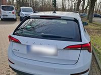 Gebraucht Skoda Scala 116 PS (85 kW) 2019 Weiß Kleinwagen