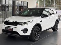 Gebraucht Land Rover Discovery Sport SE 150 PS (110 kW) 2019 Weiß SUV