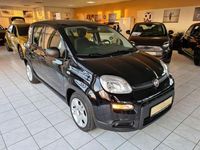 Gebraucht Fiat Panda 51 PS (37 kW) 2024 Schwarz Kleinwagen