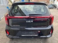 Gebraucht Kia Picanto Vision 67 PS (49 kW) 2024 Aurora black Kleinwagen