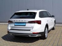 Gebraucht Skoda Octavia 150 PS (110 kW) 2022 Weiß Kombi