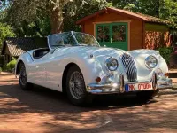 Gebraucht Jaguar XK 213 PS (156 kW) 1956 Weiß Cabrio