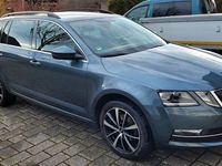 gebraucht Skoda Octavia G-TEC 1.4 TSI DSG Ambition Combi Amb...