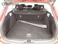 Gebraucht Ford Focus Titanium 155 PS (114 kW) 2024 Rot Kombi