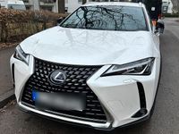 Gebraucht Lexus UX 250h 184 PS (135 kW) 2021 Weiß SUV