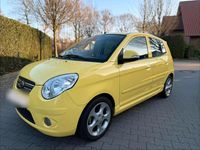 Gebraucht Kia Picanto 65 PS (47 kW) 2010 Gelb Kleinwagen