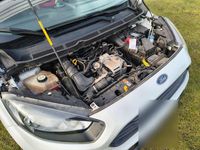 Gebraucht Ford Transit 101 PS (74 kW) 2016 Weiß Van / Kleinbus