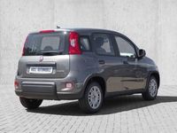 gebraucht Fiat Panda Hybrid Tech Paket, Radio, Klima., Multifunktion