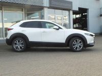 Neu Mazda CX-30 Exclusive 140 PS (102 kW) 2026 Braun SUV