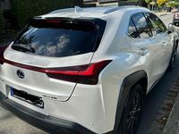 Gebraucht Lexus UX 250h 184 PS (135 kW) 2020 Weiß SUV