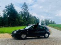 Gebraucht VW Golf IV Basis 75 PS (55 kW) 2002 Schwarz Kleinwagen