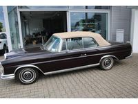 Gebraucht Mercedes 250 SE 150 PS (110 kW) 1966 Braun (metallic) Cabrio