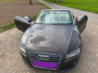 gebraucht Audi A5 Cabriolet bis 26/4/ Top Auto-Bi-Xenon-S-Navigation-6