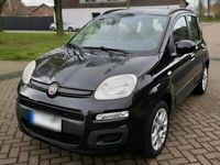 Gebraucht Fiat Panda 69 PS (50 kW) 2012 Schwarz Kleinwagen