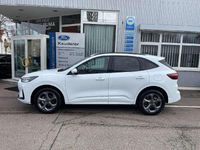 Neu Ford Kuga ST-Line 151 PS (111 kW) 2026 Frostweiß SUV