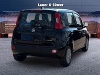Neu Fiat Panda Icon 65 PS (47 kW) 2026 Schwarz Kleinwagen
