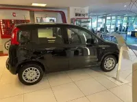 Neu Fiat Panda Icon 65 PS (47 kW) 2026 Schwarz Kleinwagen
