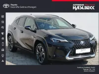 Gebraucht Lexus UX 250h 184 PS (135 kW) 2023 Graphitschwarz metallic SUV