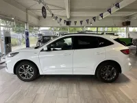 Gebraucht Ford Kuga ST-Line X 190 PS (139 kW) 2022 Frostweiß SUV