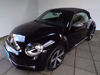Gebraucht VW Beetle Cabriolet Allstar 105 PS (77 kW) 2016 Cabrio
