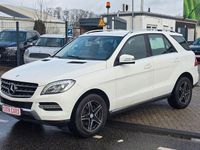 Gebraucht Mercedes ML350 258 PS (189 kW) 2015 Weiß SUV
