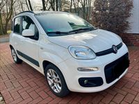 Gebraucht Fiat Panda 86 PS (63 kW) 2012 Weiß Kleinwagen