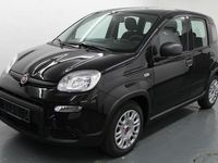 Gebraucht Fiat Panda 69 PS (50 kW) 2023 Schwarz Limousine