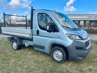 gebraucht Fiat Ducato Pritsche 130 Pritsche SHZ Top Zustand