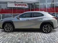 Gebraucht Lexus UX 250h 184 PS (135 kW) 2023 Weiß SUV