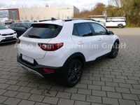 Gebraucht Kia Stonic 120 PS (88 kW) 2024 Snow white pearl met.(swp) SUV